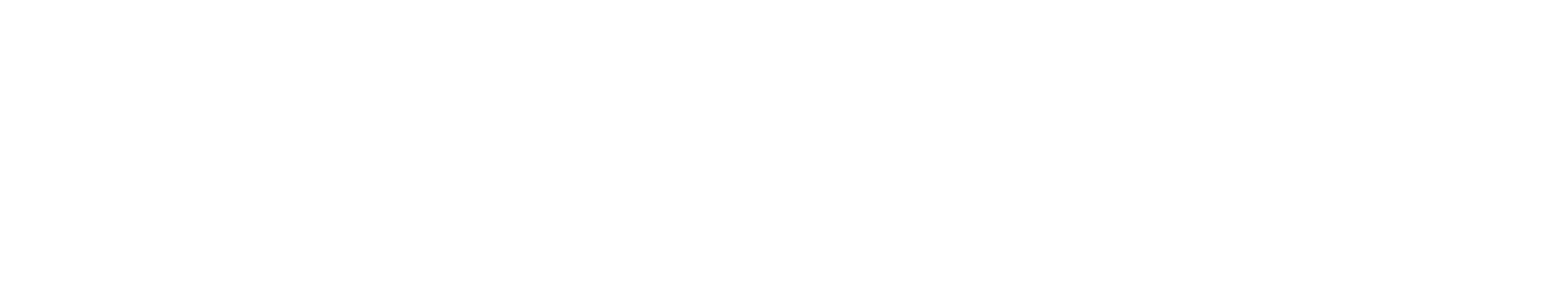 Capsule AI